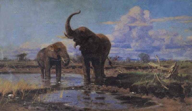 unknow artist Elephant Spain oil painting art